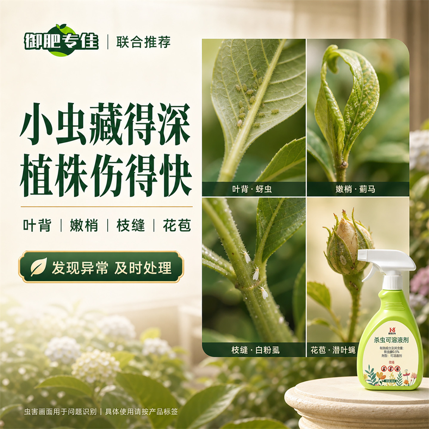 花卉植物杀虫剂呋虫胺除虫蚜虫蚧壳虫蓟马月季花绿植室内专用药