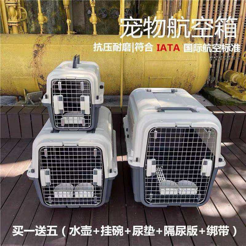 国航标准宠物航空箱狗大型犬托运箱狗狗空运猫咪金毛外出便携车载,玩具/童车/益智/积木/模型,毛绒/玩偶/公仔/布艺类玩具,淘宝优惠券,粉丝福利购,淘宝优惠卷