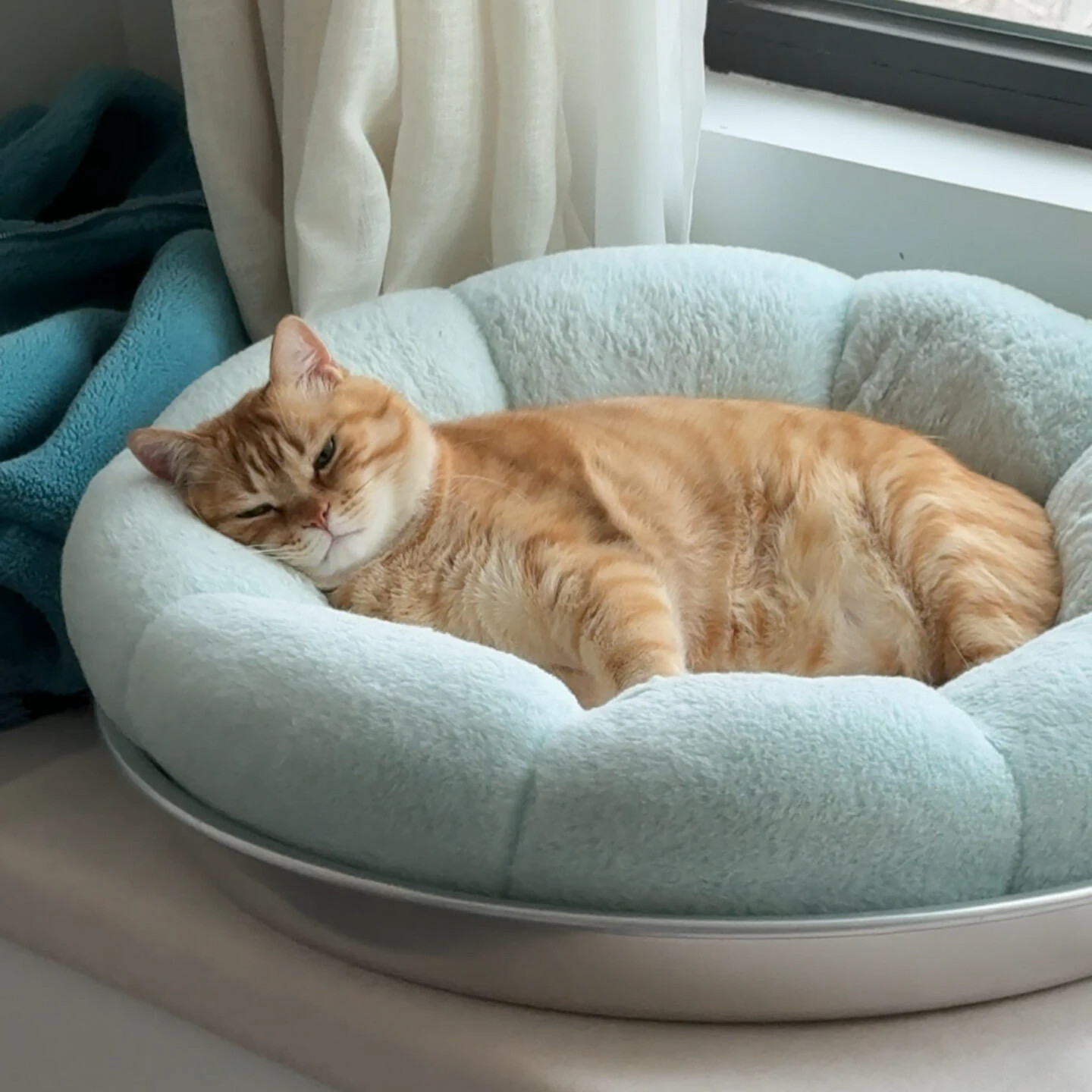 太可爱啦~猫窝猫咪睡窝四季通用垫子小猫床睡觉狗窝毛绒宠物保暖