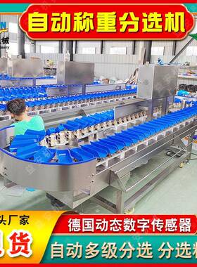 货海鱼重量选机商用鲳分DXE鱼鱿鱼分自级现设备全动活鱼鲅鱼分选