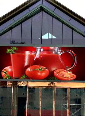 户外全le彩dP4广告屏L彩ED显示屏室外PP4P53P6P8P10户外全大屏幕