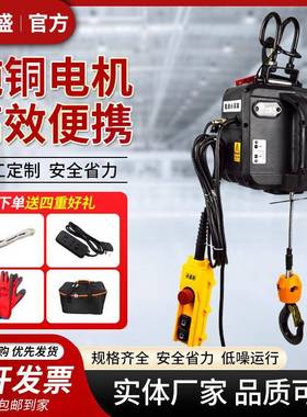 微型电动葫小型升0降提2升机2v吊机家用便芦携式遥控WQT牵引电葫