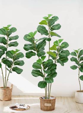 仿真客琴叶19467榕大型室内厅电视落造地摆件装饰仿生绿植景盆栽