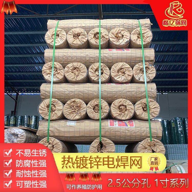 电焊网养殖铁丝网建筑外墙保温抹墙网镀锌电焊网地暖桥梁网片