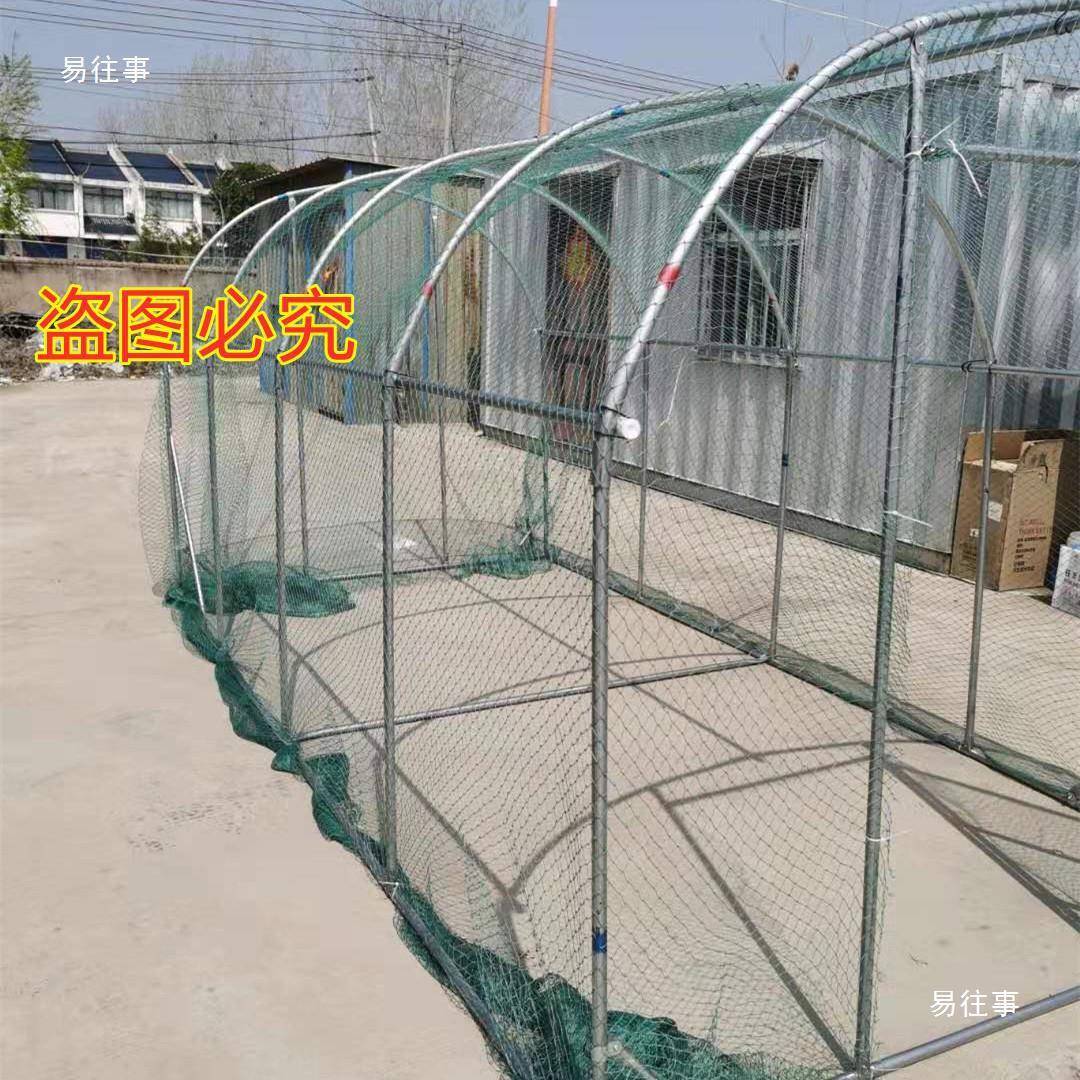棚鸡建室外养殖场用养鸡户外鸡笼养殖阳光房家特大号NSR鸽子搭家