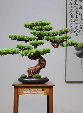 仿真微景观桌面摆件绿植迎客松盆景中式酒关饰店玄tb-68799新茶室