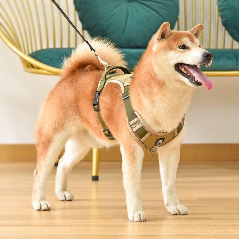 背心式狗狗牵引绳中大型犬柯基柴犬胸背带拉布拉多金毛外出遛狗绳图片