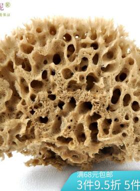 进口希腊天然海海蜂窝术F7621773漆绘画擦色硅藻泥艺工具藻非绵浴