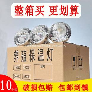 养殖取暖取暖灯泡养殖保XNL暖灯猪灯仔保温灯全烤灯保温灯套一整