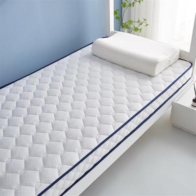 软纯色针织网格海绵学生宿舍床垫记加厚忆棉出榻租BDY房垫子榻米