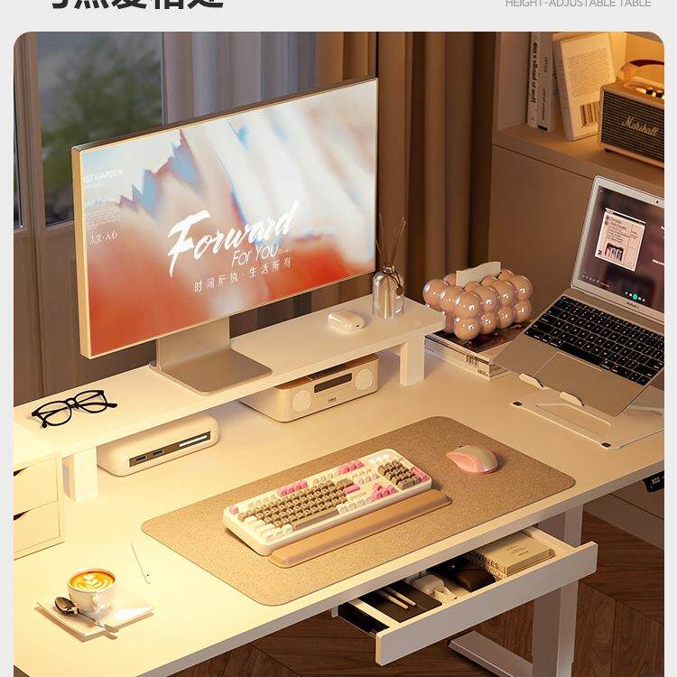 乐歌E216M/E5X智能电动3升降桌升居家办公电脑桌降青桌腿少年学习