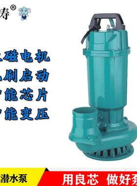 德涛船4用12v直流微型潜水泵泵24v不锈钢直流60V8vYTR用家用抽通