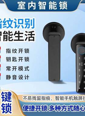 分球指体式卧室房间密YCI码形家用电子锁纹锁门锁室内门办公室智