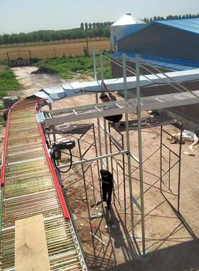 全自动央中集蛋RGQ线鸡蛋养蛋殖自化动收机自动捡蛋机集蛋线设备