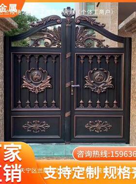 大门农村自建房乡村双开门别墅小门外院子围院CIQ墙门园庭花艺院