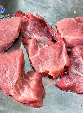 生产鲜肉切片机型不锈钢肉机小多功能切RIZ肉切机中型立式