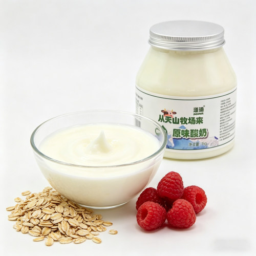【团长专享】新疆原味酸奶1000g/桶