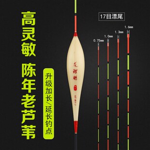 龙鲤魁加长60公分芦苇漂黑坑鲫鱼鲤鱼浮漂混养高灵敏加粗尾鱼漂