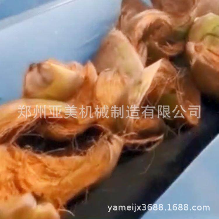 厂家直供干湿不限椰子粉碎机100型椰壳椰青粉碎机可细碎粗碎,机械设备,粉碎机,淘宝优惠券,粉丝福利购,淘宝优惠卷