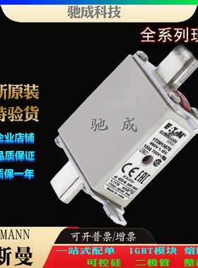 巴斯曼170M1567 170M1569 170M1568 现货直销 零售 紧凑熔断器