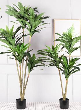 型仿摆真巴西铁QH-53088树塑料室内件落假植物仿真绿植铁大树地盆