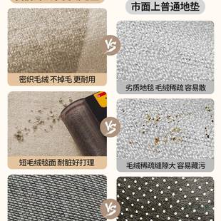 2205新F99T7SJH款 高端地垫入户门垫进门口入门脚垫耐脏防门滑用玄