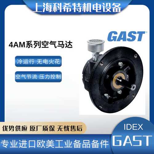 GAST 4AM-FRV-63A 空气马达 冷运行无电火花齿轮电机