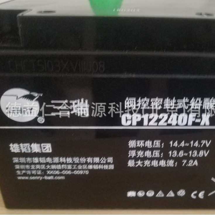 三瑞铅酸蓄电池 CP12240F-X/ 12V24AH UPS铅酸蓄电池电源