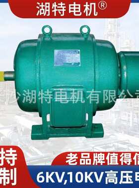 高压电机JR JRL YR绕线转子三相异步电动机380V 6000V 10000V