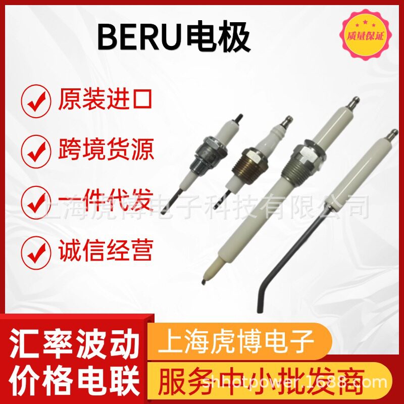 一件代发德国原装进口贝鲁点火针BERU电极