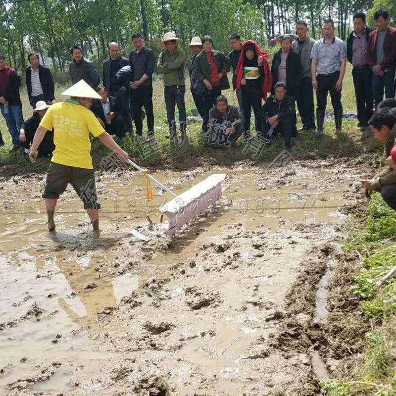 谷种点播机 水田人力水稻播种机 农用机械水稻直播机 水稻播种机