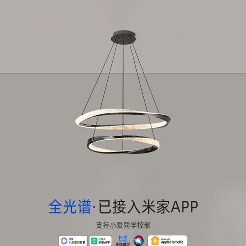 意式客厅吊灯轻奢主灯设计师极简现代家用创意网红风餐厅卧室灯具