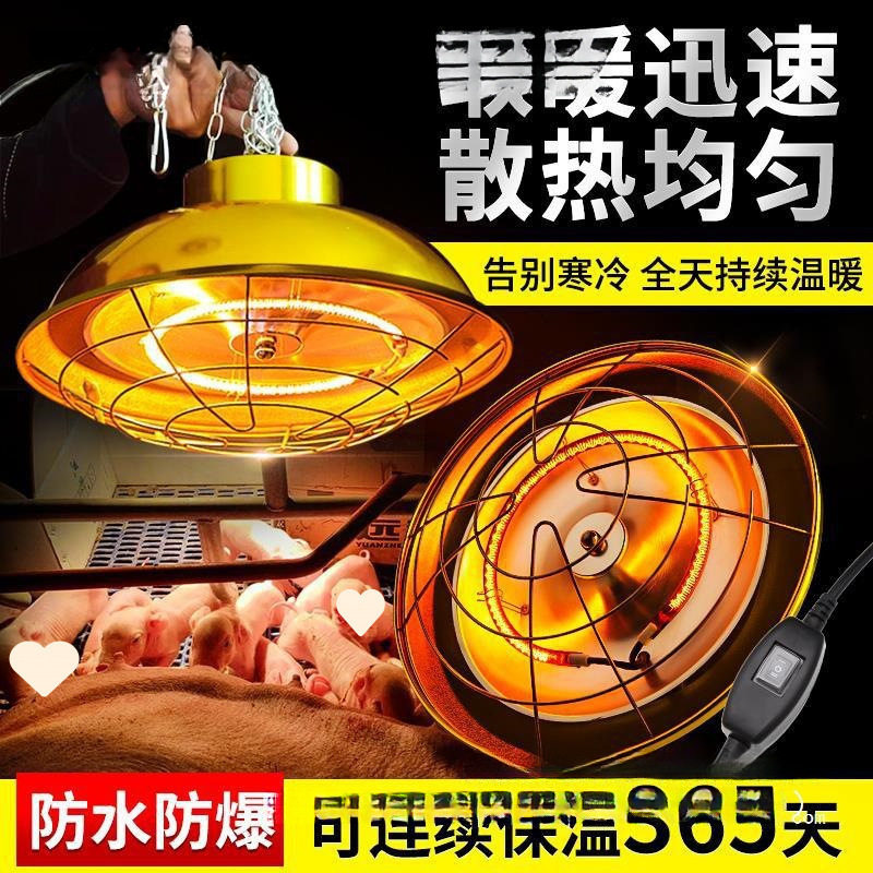 保温灯养殖场卤素猪仔育雏灯罩小猪暖灯取暖灯保温灯泡加纽帝