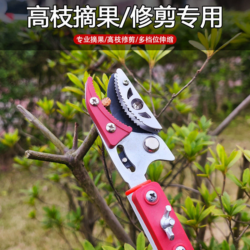 不锈钢高枝剪高空修枝剪可伸缩杆修剪果树剪树枝剪刀摘采果剪