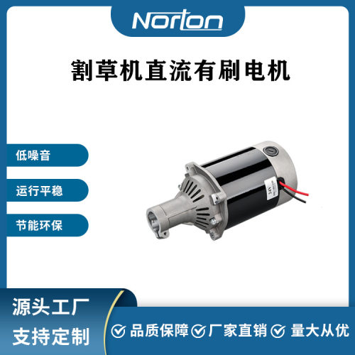 ZY9716-450W60V 永磁有刷直流电机 割草机电机
