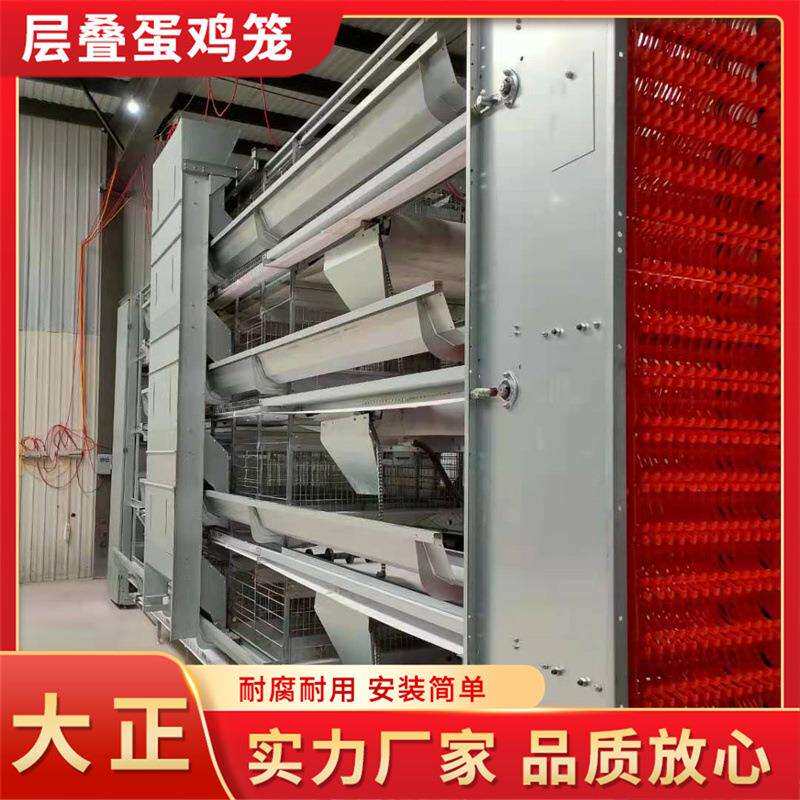层叠蛋鸡笼蛋鸡养殖设备 全自层叠式肉鸡笼 养殖场层叠式鸡笼子