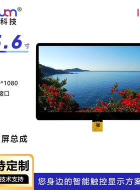 现货15.6寸液晶触摸总成1920*1080EDP30PIN高清高亮屏15.6寸IPS屏