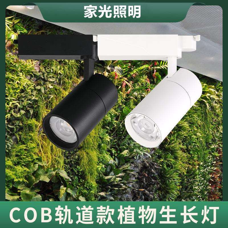 多肉室内植物导轨射灯全光谱园艺花店补光led植物墙生长轨道灯泡