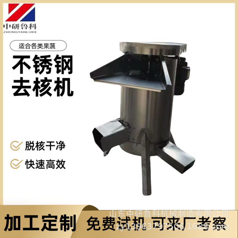 油桃带核水果去核机工业荔枝西梅去核打浆机大型鲜果去核机