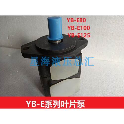 叶片泵YBE-100高压泵注塑机压铸机 YB-E125油泵 YB-E80 63