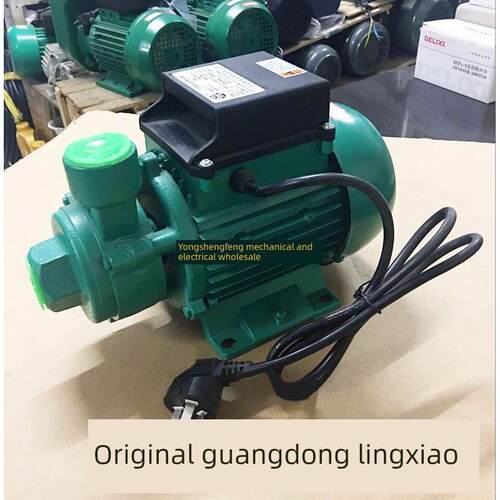 广东凌霄1DB35 1DB45 1DB65 -B清水泵330W 家用抽水机550W 750W