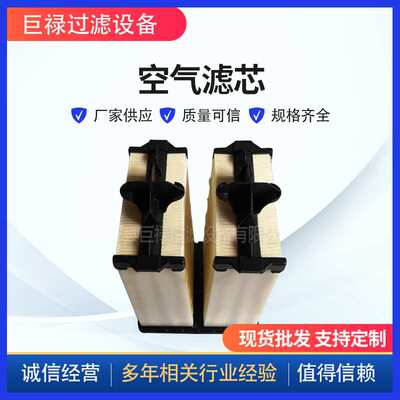厂家现货供应替代AF55021空气滤芯工程机械设备发动机空气滤芯