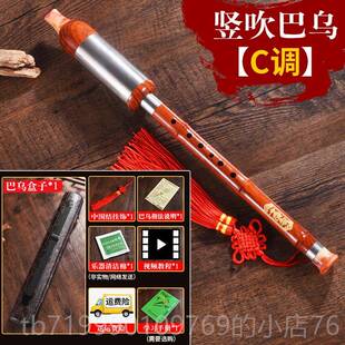 高档竖吹横吹入巴乌乐初器树脂C调b调G调F调降成人小学生学男女门