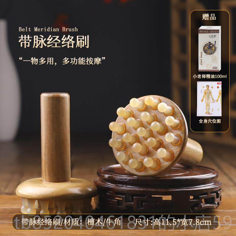 高档牛角带脉经通胆络刷子神燃器揉腹脂疏按摩刷全身通用肝肚腿部