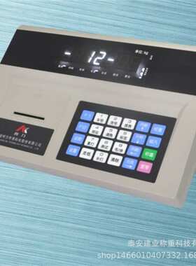 称重仪表 D12RP1 称重仪表 D12RP1 称重仪表 D12RP1  称重仪表