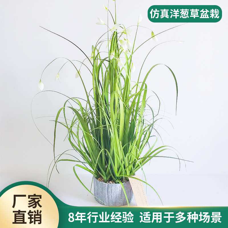 ins风格仿真绿植盆栽家居落地饰品摆件 仿真洋葱草芦苇小兰花现货