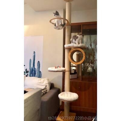 新款catsle四季猫用爬架木实通天堡柱猫抓柱猫别墅跳台猫窝猫城猫