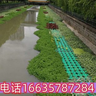 生态浮岛水上种植人工生态浮床浮岛河道水面景观水生植物绿化造景