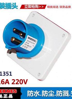 3X16A暗装插头 器具插头插座 3芯工业插头插座1351 单相三线2P+E