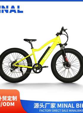 外贸出口MINAL电动自行车MC80048V350W10.5A 07